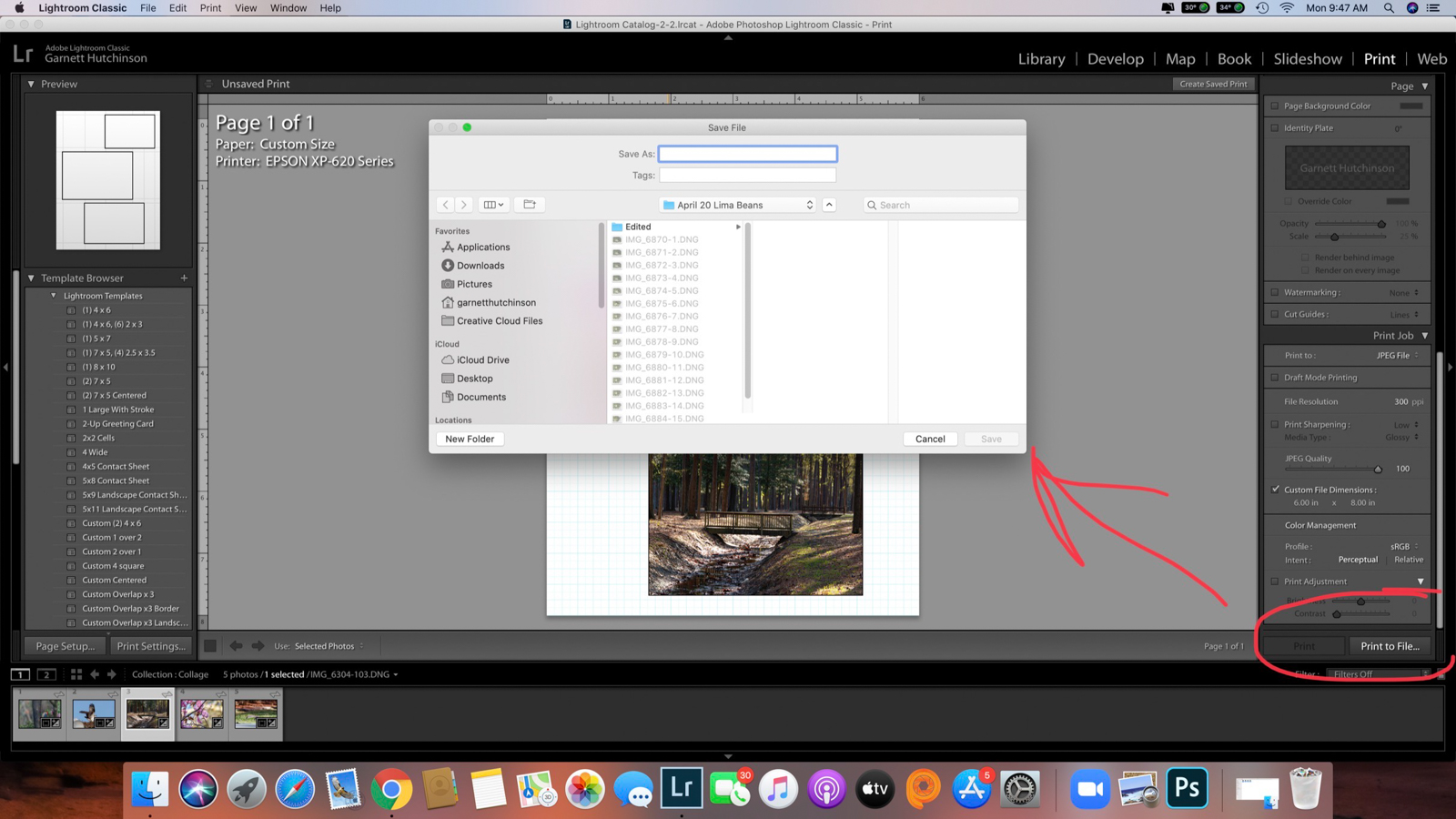 How to Make a Collage in Lightroom 365 Picture Today
